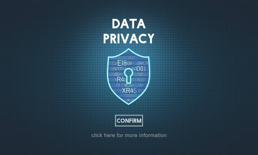 Data Privacy shield more information